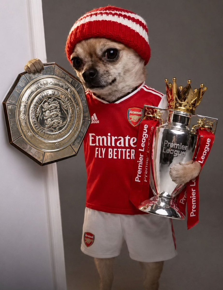 Adeyemi_Akanni1's tweet photo. Who are those taging me!?
If you never win trophy this season, me and you no get talk 😑 https://t.co/08KX9ZLyMk
