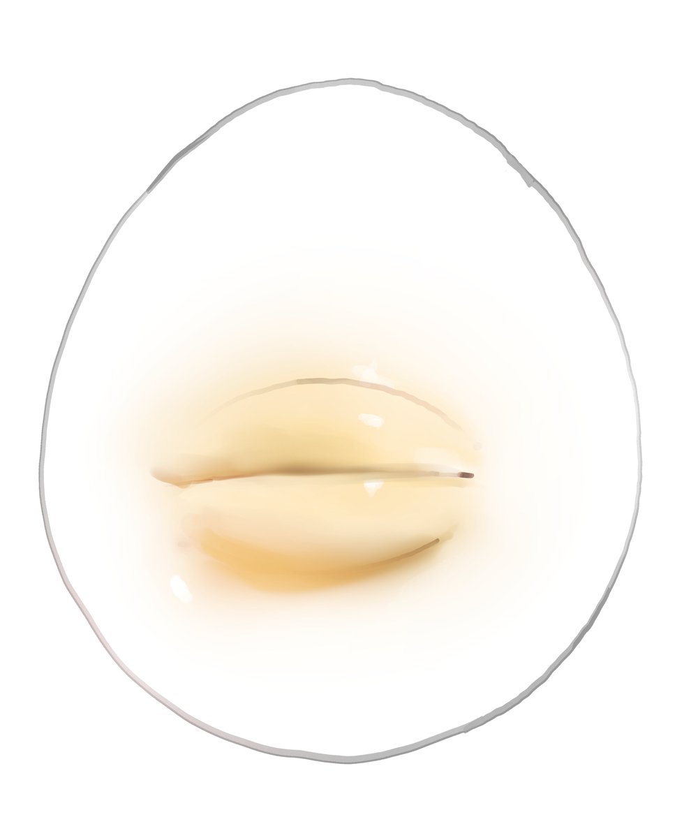 rrrroch1's tweet photo. practice🥚 https://t.co/XqaODo9OjN