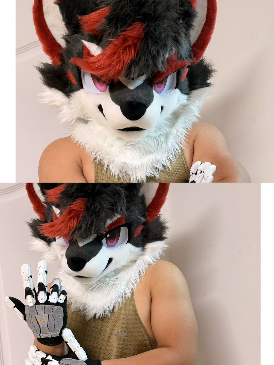 GinwineGin's tweet photo. Maximum fluff achieved 🧶
Quick question: would you pet this guy, or run away?👀
Tell me in the replies!

#TripleGin #fursuit #furry https://t.co/t2tIWIcBD4