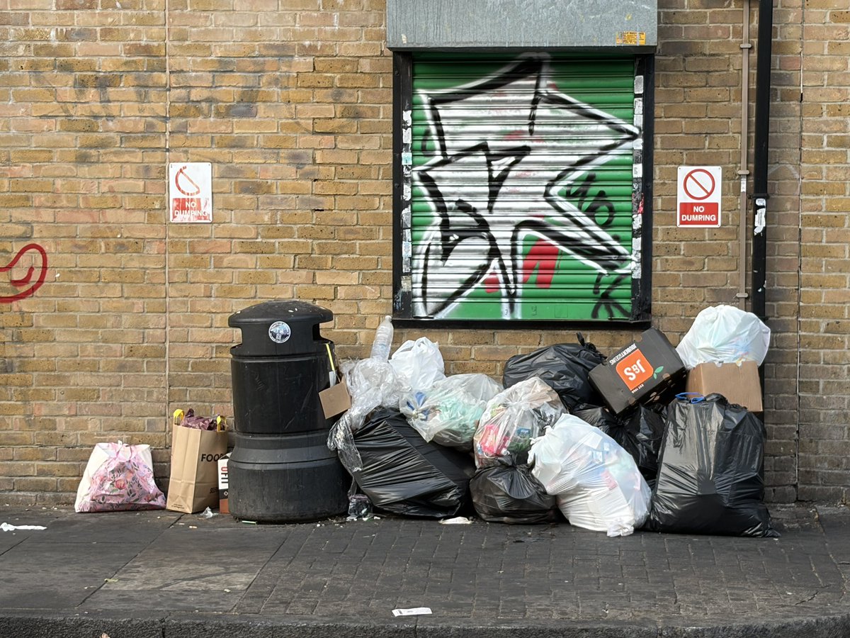 TowerDumplets's tweet photo. @djjmilner In @TowerHamletsNow we’d like bins - and bins to be emptied! https://t.co/vkJ0yJO53a