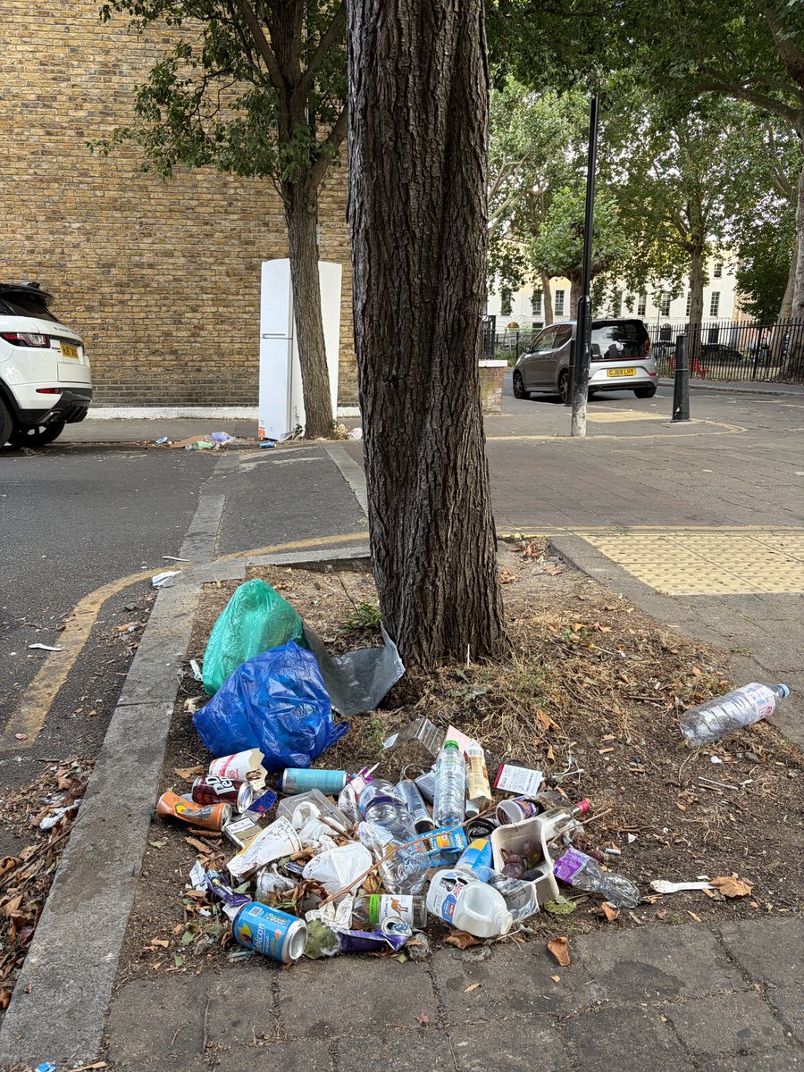 TowerDumplets's tweet photo. @djjmilner In @TowerHamletsNow we’d like bins - and bins to be emptied! https://t.co/vkJ0yJO53a