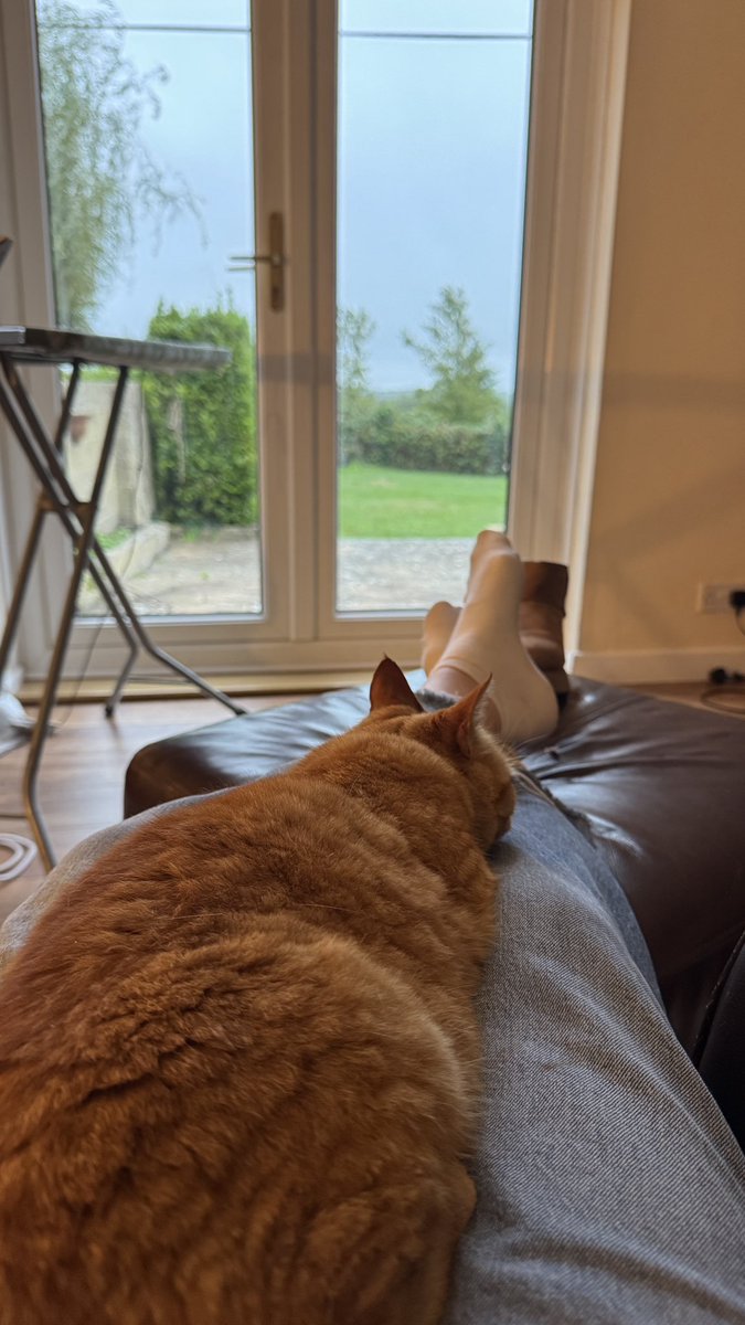 Ditzybootooo's tweet photo. @Barrister79 @SamRaincock @history99917180 Very weird. No kids and 3 cats - crazy old lady status fully unleashed 😆 (excuse lack of curtains - still moving but not like anyone can see in anyway!) #middleofnowhere https://t.co/baOmWN4aZK