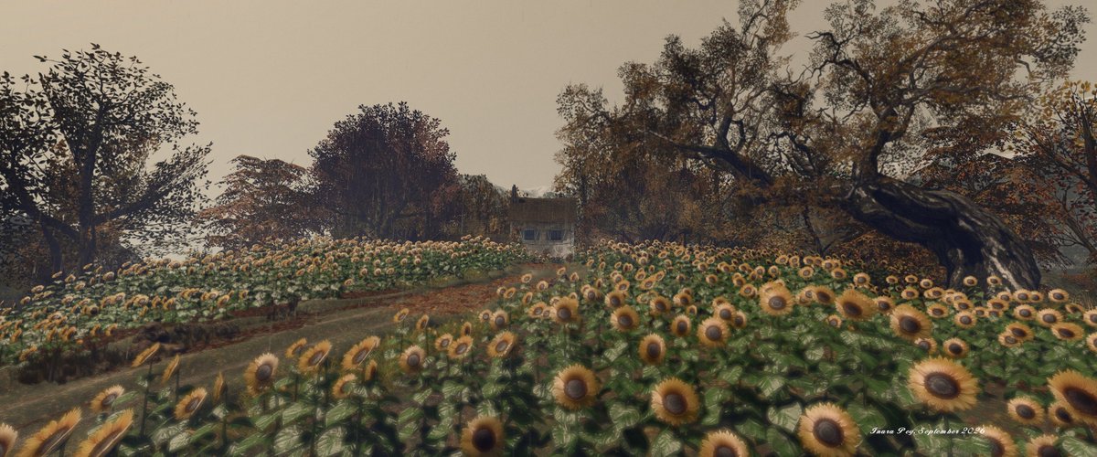 InaraPey's tweet photo. Autumn has come to Lam Erin’s Cherishville for 2026, and with it a complete change of setting. One that an atmospheric setting, one enduring the sogginess of a persistent downpour.

Blog post: https://t.co/A7OvIr7fwm 

#SL #SecondLife https://t.co/Qiw0wHCZAV