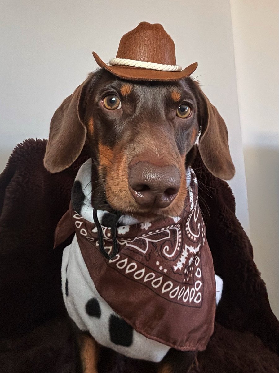 BaileyBukhari's tweet photo. Murphs is bringing country back. https://t.co/75yvCmtKkG