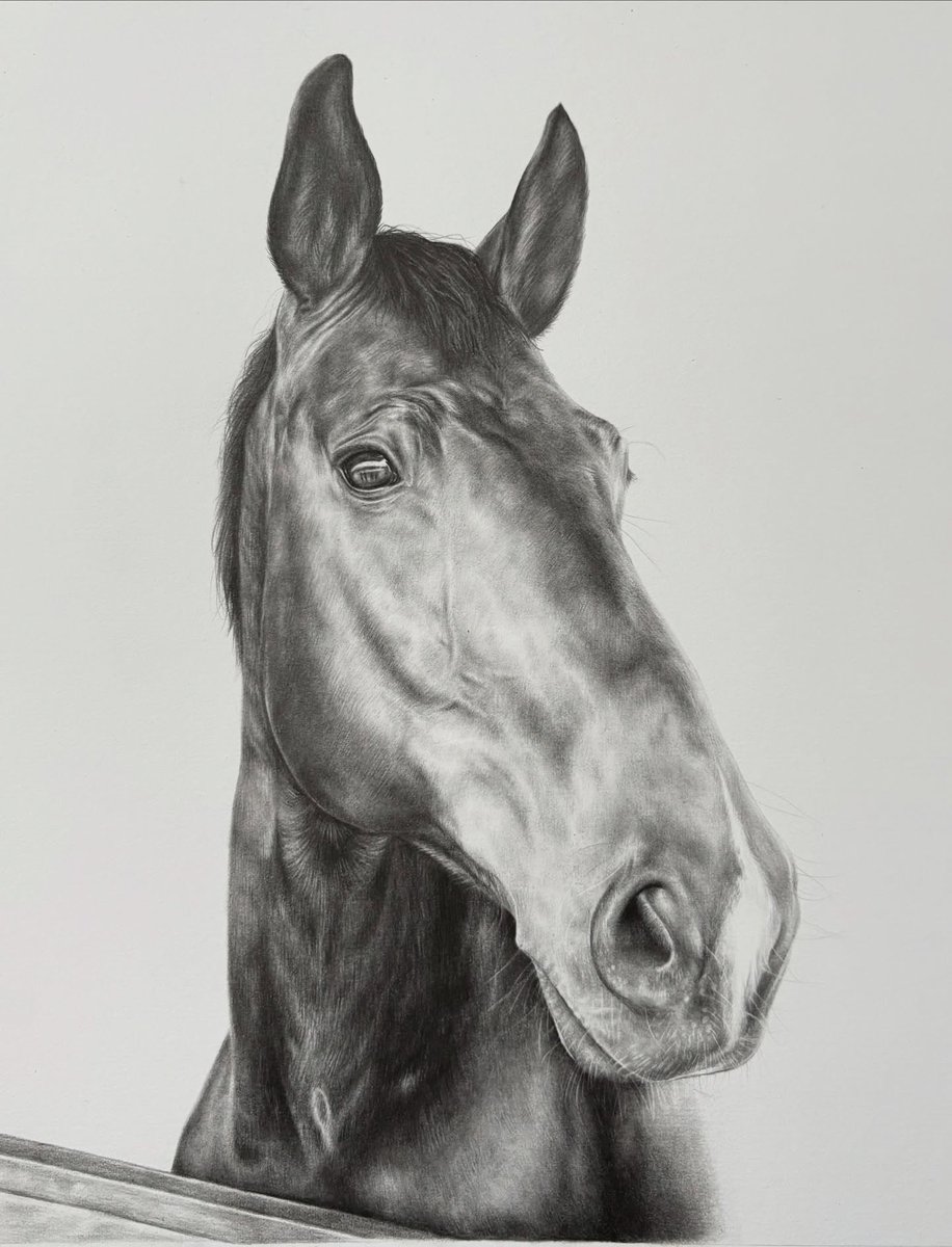 CorrineBusscher's tweet photo. Keeping the Christmas portraits coming this snowy Sunday. Excited to share my final graphite Christmas portrait: the handsome Dancer for Lucy and Claire Caldwell. This 10×12-inch portrait perfectly captures the dressage superstar in all his glory. https://t.co/qaQeqr4tk6