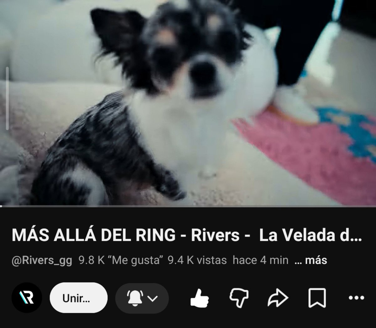 Xarmixa's tweet photo. Por fin llegó el día más esperadoooo!!!
(La prota)

#MasAllaDelRing
#RiversElDocumental https://t.co/lRqWVum3VJ