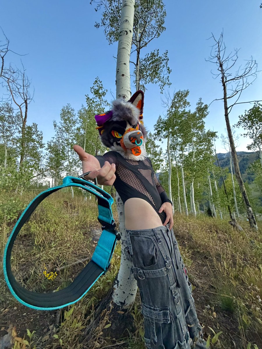 xMEZZIERx's tweet photo. Put it on for me. That’s a demand.

#furry #yiff #nsfw #fursuit #nature https://t.co/hfeSxzQKux