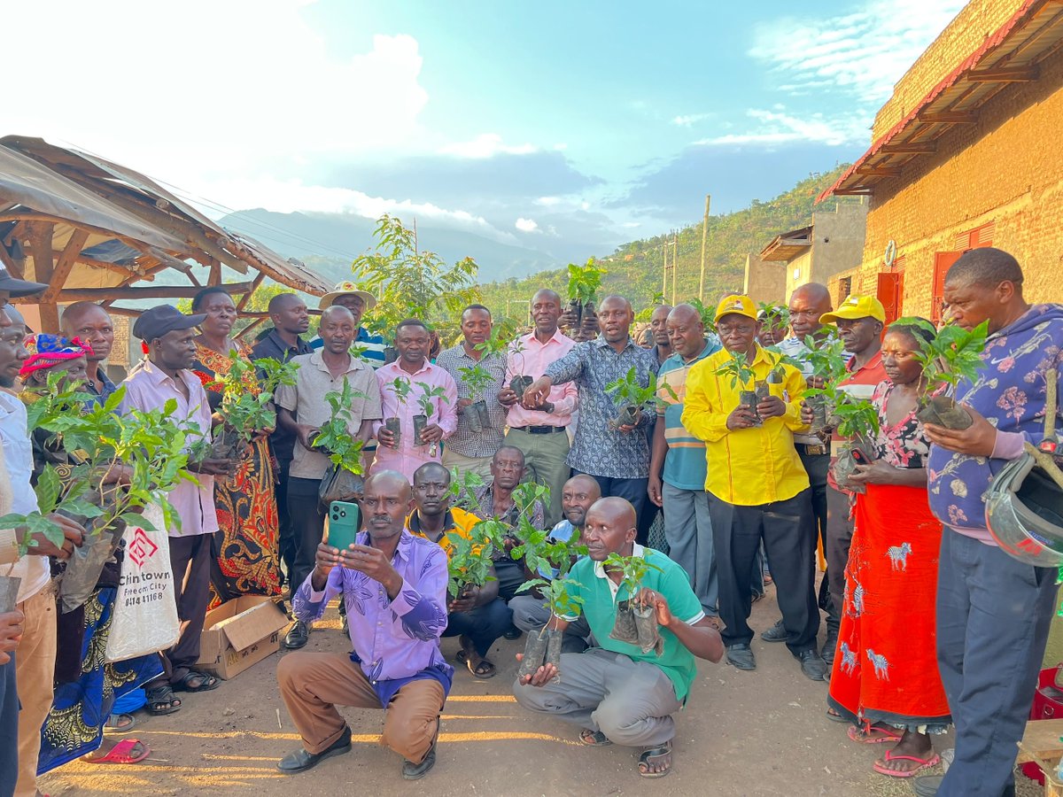 RudeMondayJ's tweet photo. Two months after this engagement, we have officially launched the initiative to plant coffee in Bukonzo East County 👍

Today afternoon, I traversed the Sub-Counties of Munkunyu, Kyondo, Mahango, and Kitabu, as well as the Town Councils of Kinyamaseke, Kisinga, and Kyalhumba, to roll out the program. 

Under this initiative, we intend to distribute 50,000 mature, high quality coffee seedlings to our farmers in a phased approach.

To maximize yields, participating farmers must adhere to strict agricultural standards, including proper garden preparation, hole sizing, and spacing. 

Today's engagements focused on raising awareness and encouraging farmers to register through their respective Coordinators and LC 1 Chairpersons. 

I am confident that within three to four years, this initiative will significantly boost household incomes and transform the standard of living across our communities.
