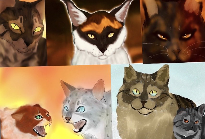 HaydenKeni22395's tweet photo. #warrior #warriorcats #sol #tigerstar #mapleshade #ashfur #imposter
Enjoy the art peeps doubt it’ll get much likes due to twitter being a pain but be grateful for what I receive https://t.co/3Lyawx2SJd
