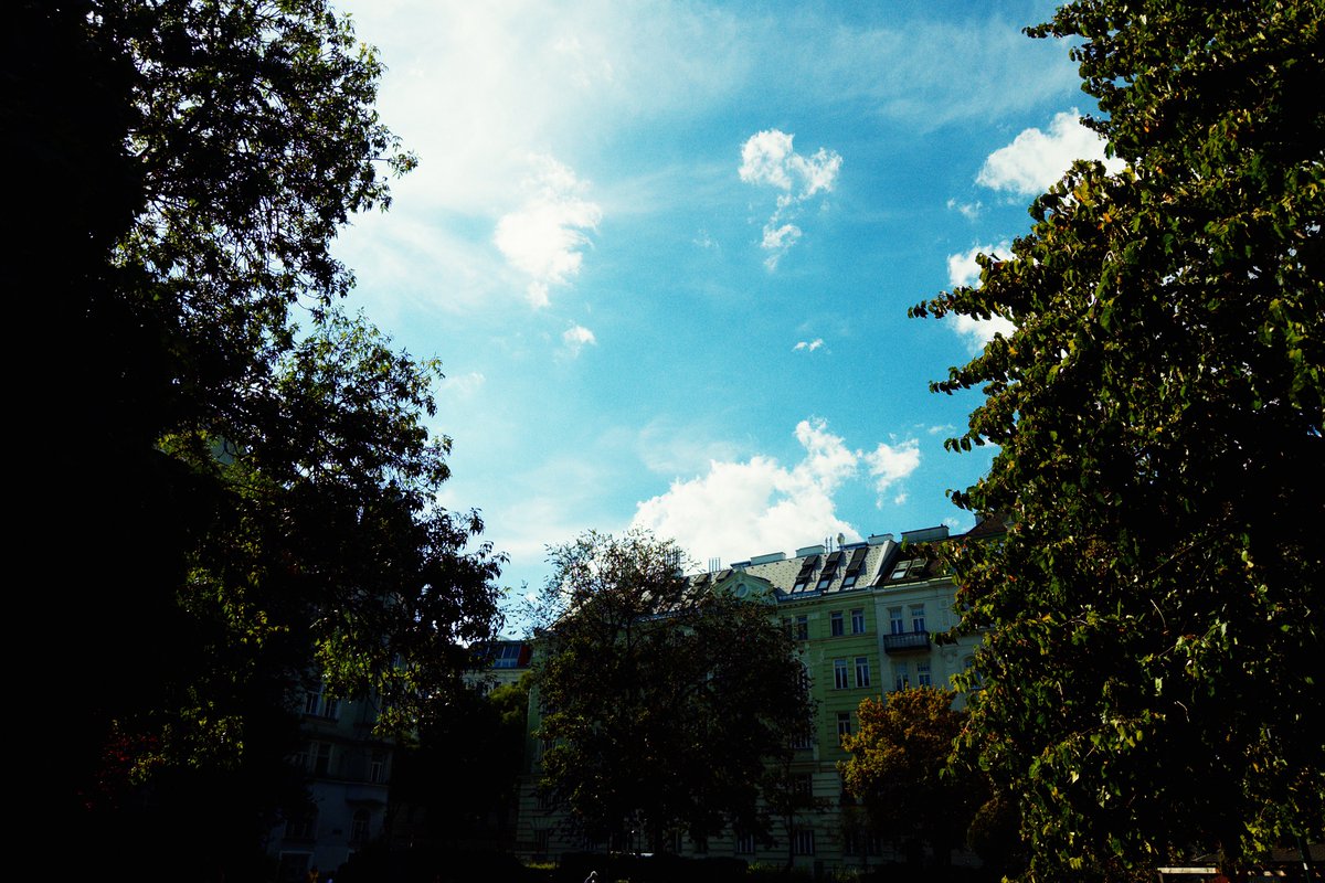 lupocamera's tweet photo. Lupo in Vienna.

iPhone 16 Pro Max · f5.6 · Velvue film

#iOS #shotoniphone #vienna #film #camera #analog #emulsion #app #mobile #iPhone https://t.co/FFQwN3zF8O