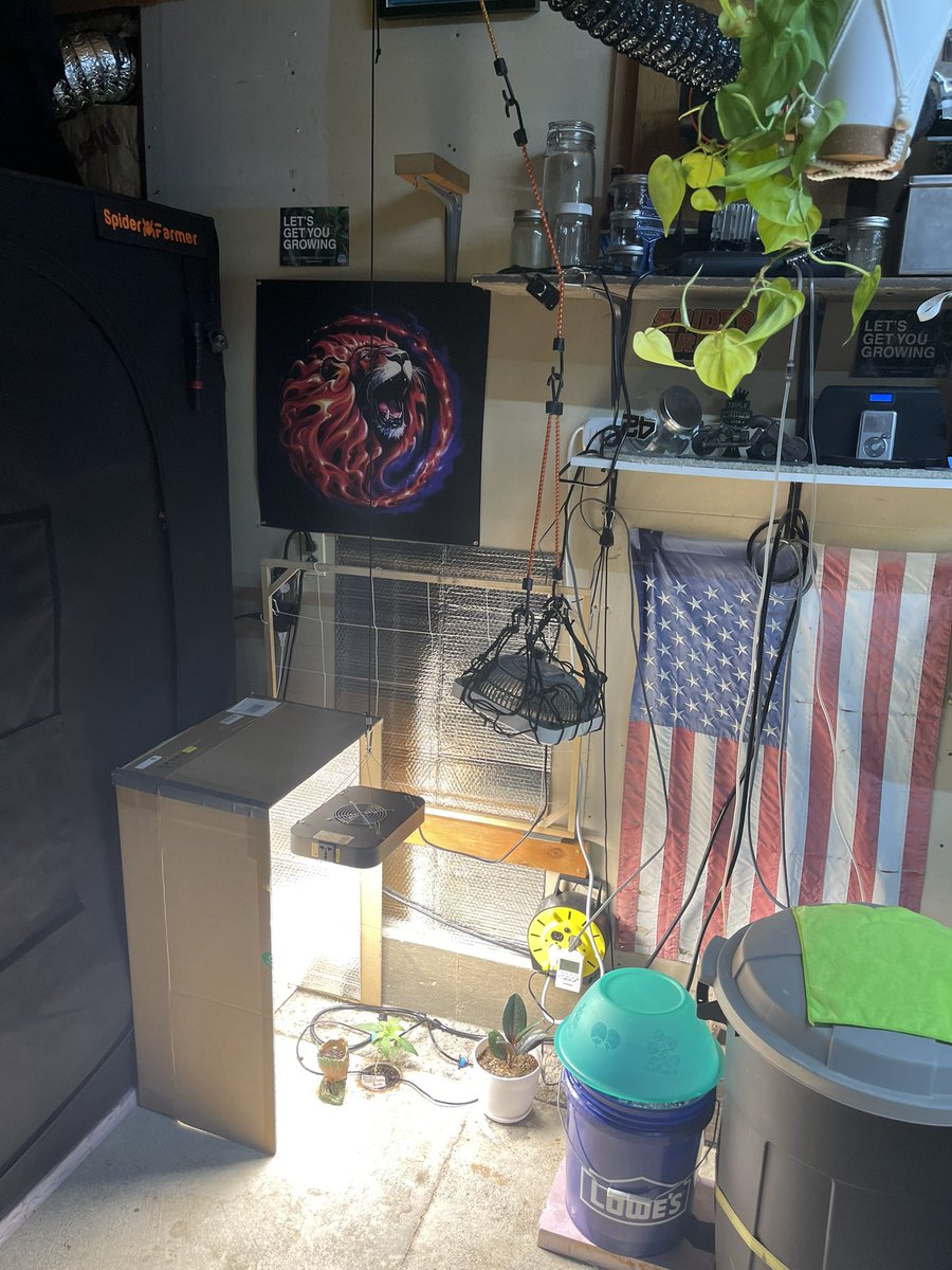 sbeakster's tweet photo. I think MacGyver himself would be proud of the hole in the floor. Grow operation going on over here. 😆🤣😂 https://t.co/glva8GdJoW