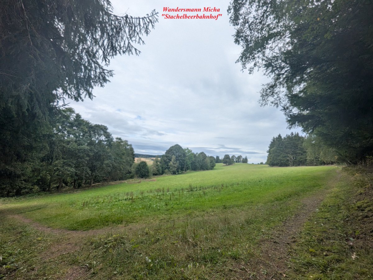 schreiber1976's tweet photo. Oberhalb vom Stachelbeerbahnhof (Unterneudorf) ging ich #wandern. 💪 😰
Bilder in der #Natur möchte ich Euch nicht vorenthalten. 👋
Glück auf im #Arzgebirg! ⚒️
----> https://t.co/sStHt1UjCP https://t.co/pQTnULjJ1e