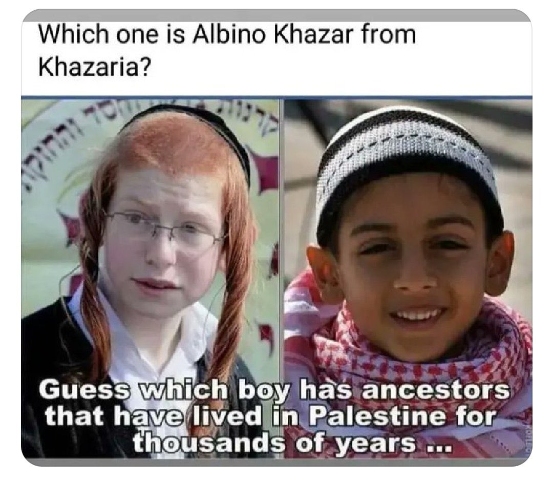 Gutternado's tweet photo. @jew_viking Just cause you stole it doesn’t make it yours red neck white creatures have a weird habit of appropriating and claiming ownership of things they don’t own it’s so funny they deny being from the region while claiming they’re from the region whites are truly parasites https://t.co/Sl35CwH7h8