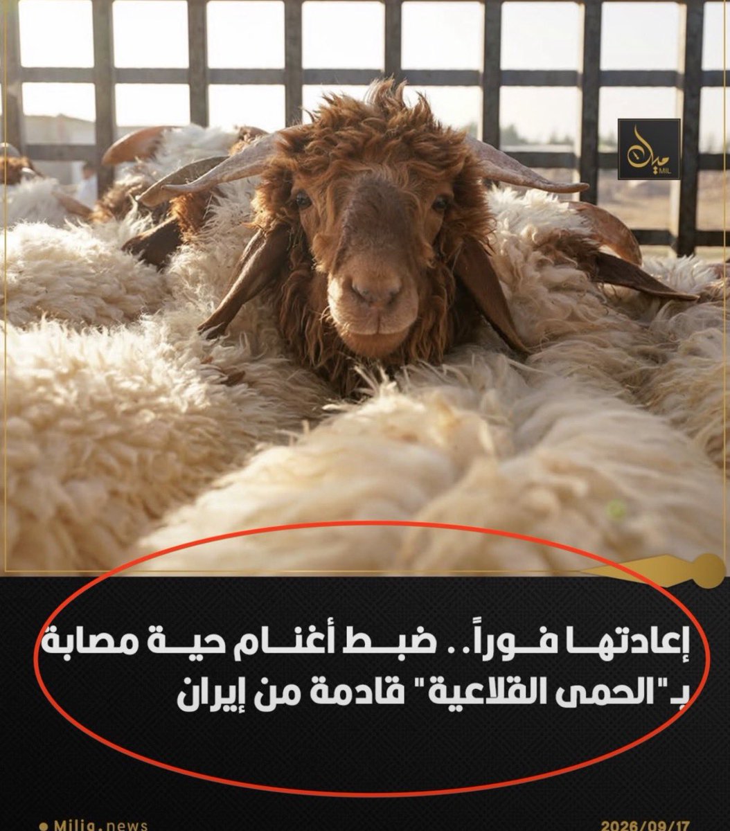 AlsaadRafah's tweet photo. هذا الي يجيكم من #إيران!! https://t.co/NRw2pJ6Wu3