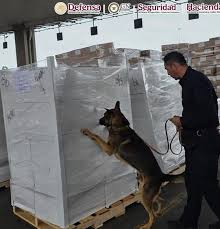 WorldCrimeIntel tweet picture
