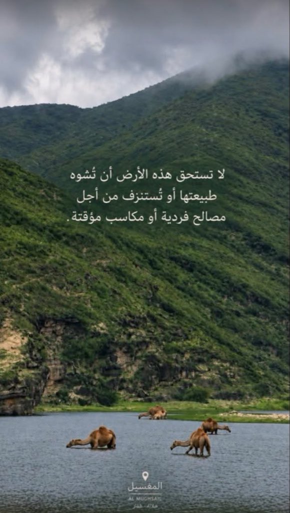 Aliogjt's tweet photo. #موسم_خريف_ظفار_2026 https://t.co/42KuWfRrbu