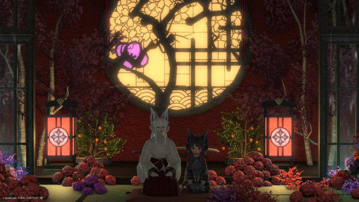 Aqa_Luna's tweet photo. 珍しくお行儀がいい https://t.co/zdjw4htAz9