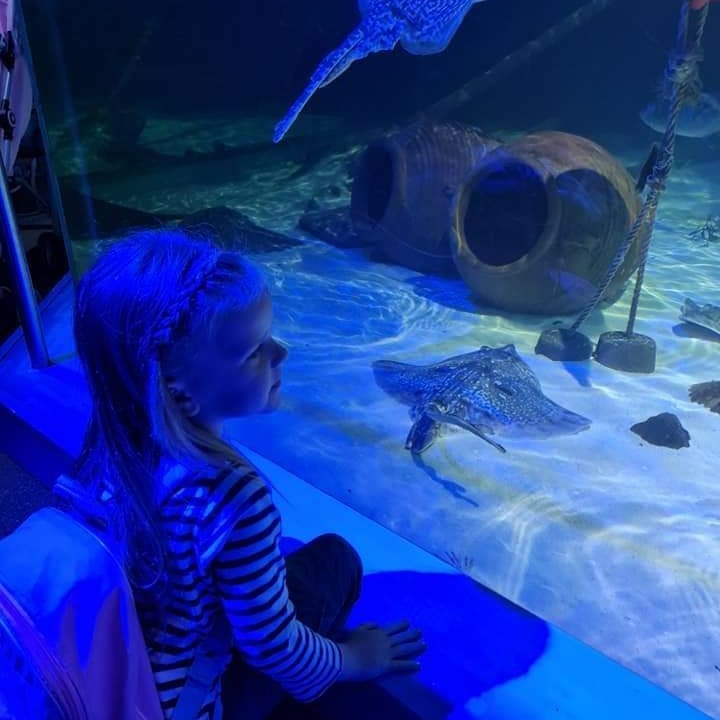 PhilNatoliiug's tweet photo. Mummy Day

I had a daddy day yesterday with just the youngest two. We had a fun day with Pig and Beast: a walk around Peasholm Park feeding squirrels and birds, a trip on the North Bay Railway, then Sea Life Scarborough to finish an amazing day. https://t.co/yarQ0bziVT
