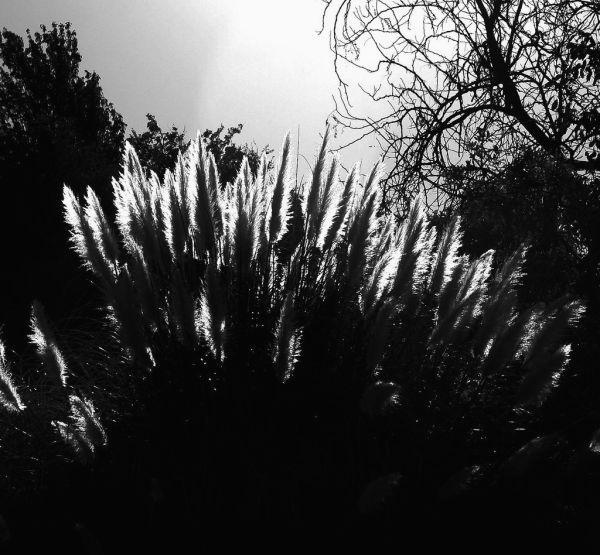 FlorenceBonnin's tweet photo. A small garden teaches patience. You plant, water, wait, and trust what you cannot see. https://t.co/7qGjvxVzmr