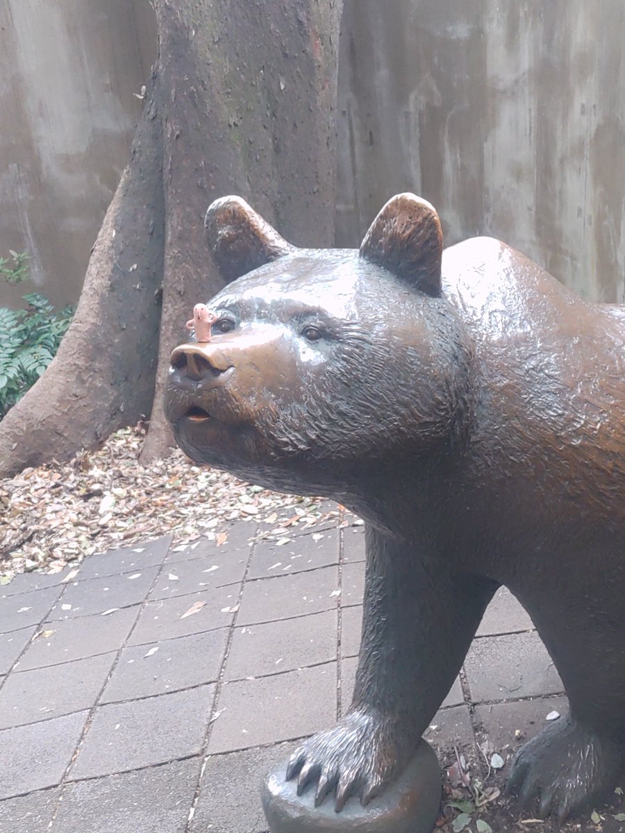 820haniwa's tweet photo. 気づかれてますよ🐻

#はにわ
#上野動物園 https://t.co/132vDJyo9k