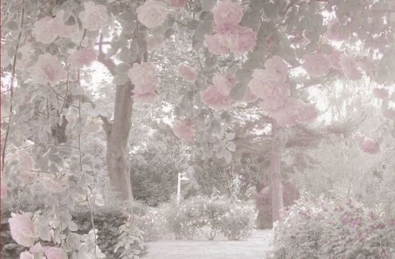 cxtiebun's tweet photo. ݁     ͡ ︵   . ˚ ꯱ֺ֪υ︩ი๋︩ꪱᩙ  ๑◞   ݁  ༢ེུ༷  𝟶꯭⃞𝟷𝟶꯭⃞𝟻
֪　 𓏼˚̣̣ #shedtwt  #drugtwt  #yaoitwt✿　.   ݁  ꒱꒱  .
݁ ꪆ୧ 　ꭑٞ᷼ℓֺ֪ꭑٞ᷼ ֪    #moothunt  ძֺ︫︩α̫۫ყᩙ𝟶꯭⃞4 https://t.co/tBTqw8aJcb