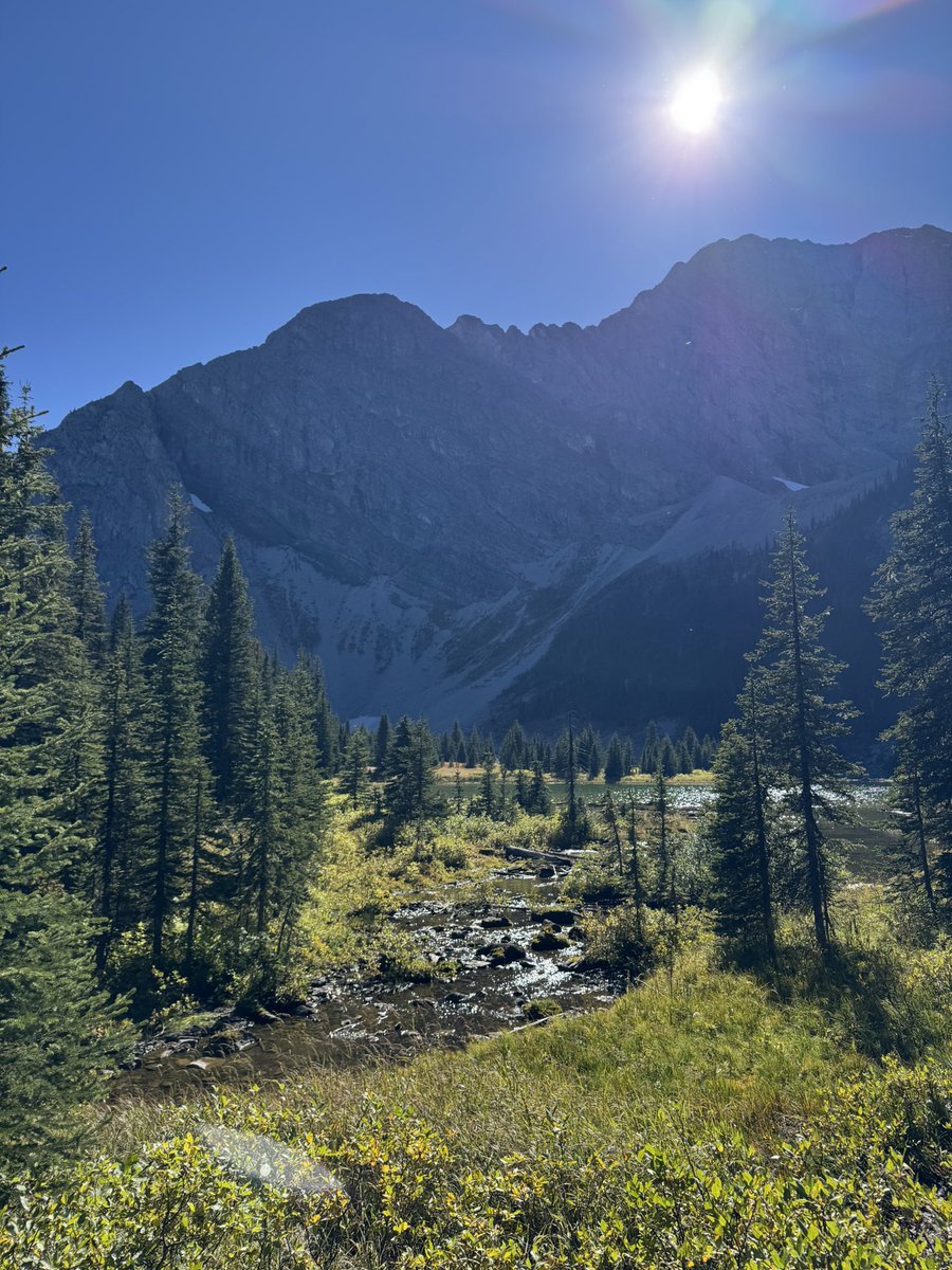 tornadorust's tweet photo. Trout fishing for my birthday in Kananaskis https://t.co/cCnc88W4WO