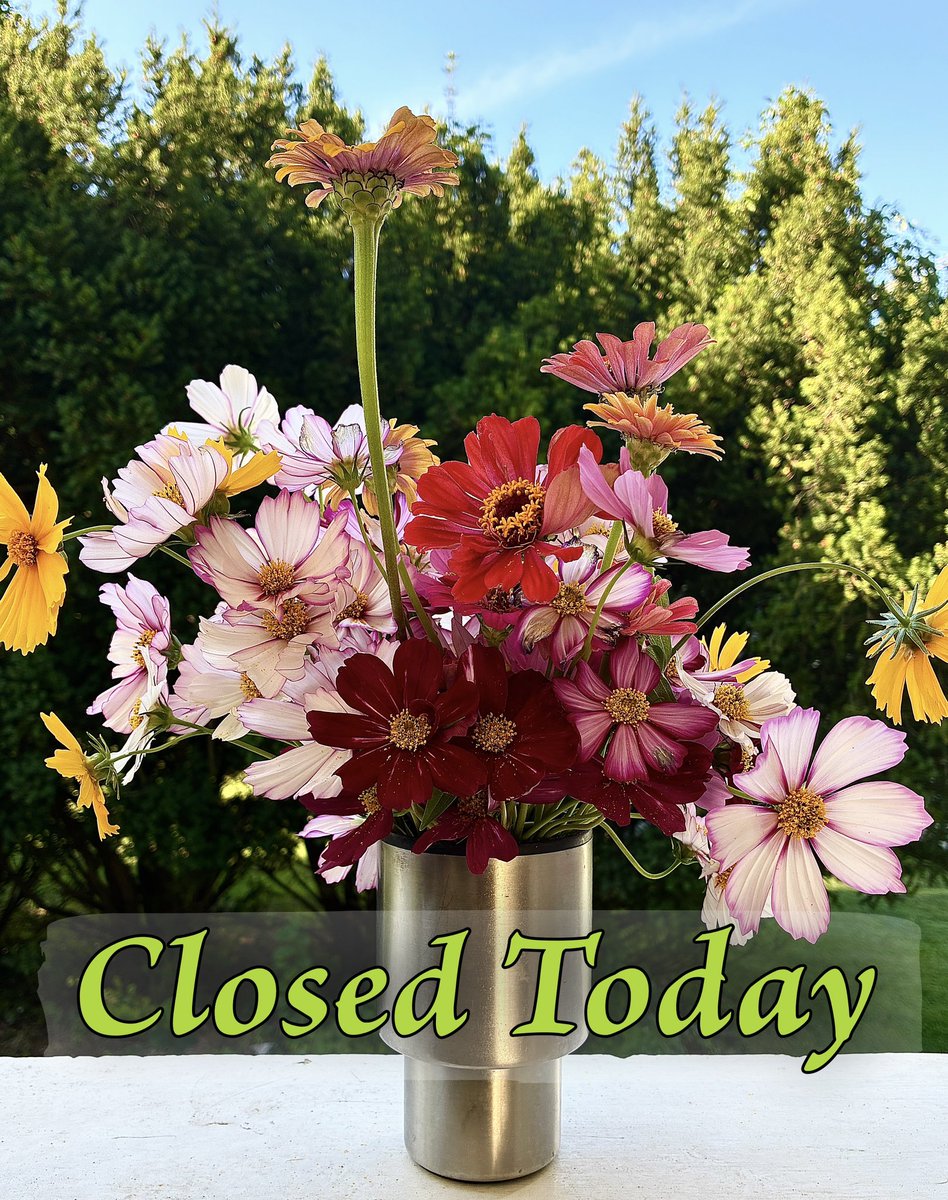 MHJGardenDesign's tweet photo. Hi Everyone!
#MHJFlowerShop is closed today and we want to remind you that our September hours are: Mondays, 3-6 PM, Thursdays, 3-5, and Saturdays, 1-4. ๐
#flowers #zinnias #cosmos https://t.co/DsqggWD4XP