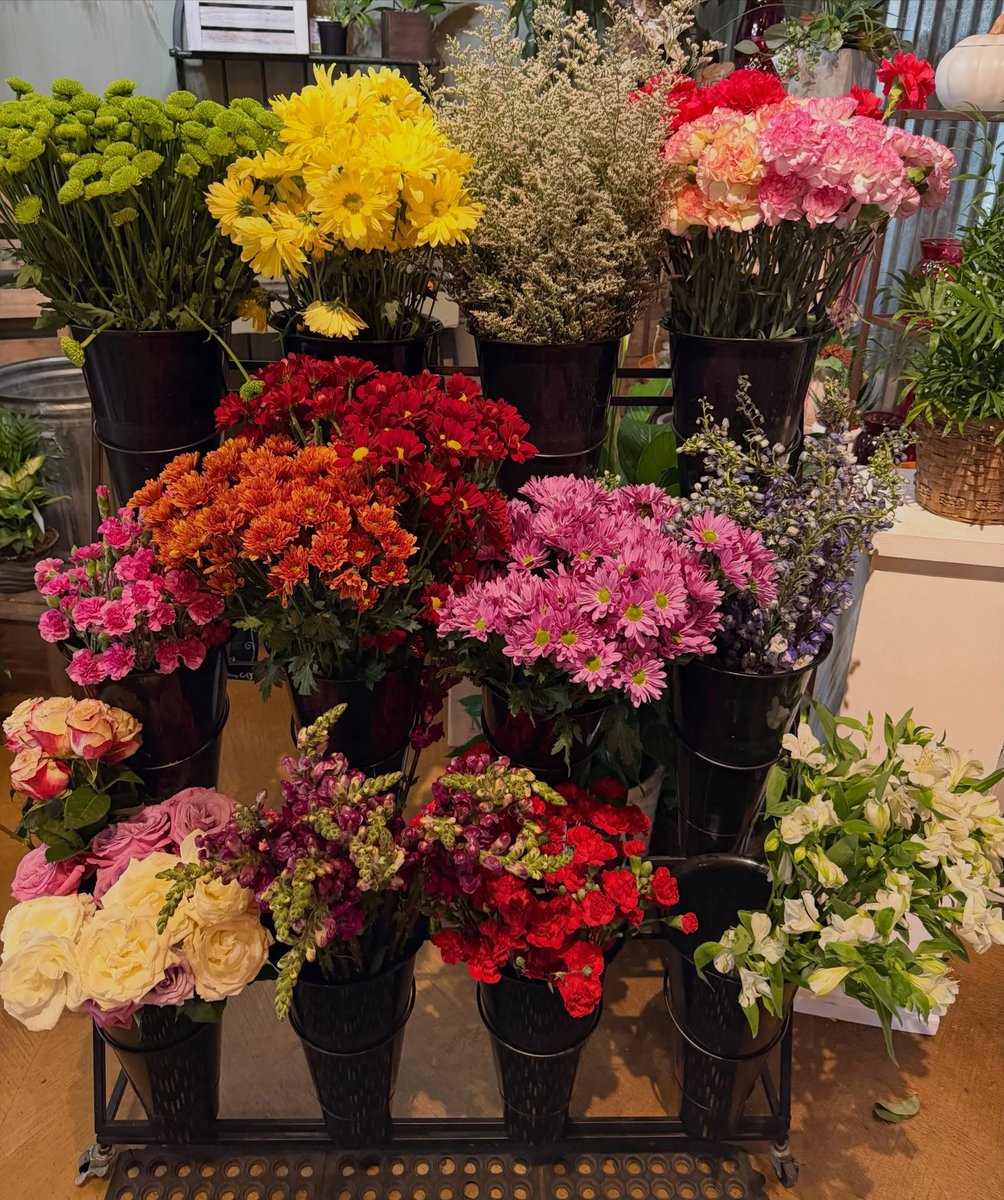 IndyFlorist's tweet photo. Happy Saturday!!! It’s dollar cart day and flower happy hour. 8:30am-4pm 🌸🌿🌼 
#georgethomasflorist #dollardeals #flowerhappyhour https://t.co/H3yV8kTDy3