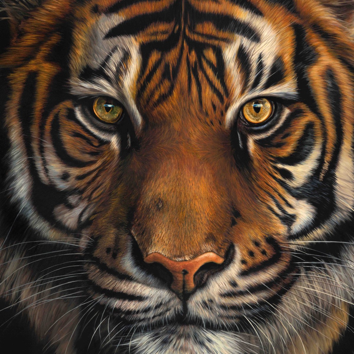 EdenPortraits's tweet photo. The original painting Hungry Eyes is still available to purchase. Also available are limited edition canvas prints. Please message me if you're interested in either.
#tigerpainting #oilpainting #tigers #tigerprint #animalart https://t.co/XCbV1aX7P6