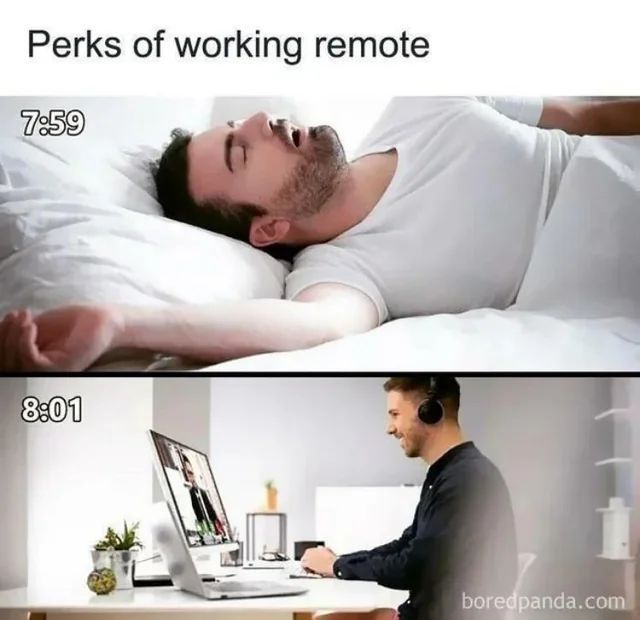 MemesToSave tweet picture