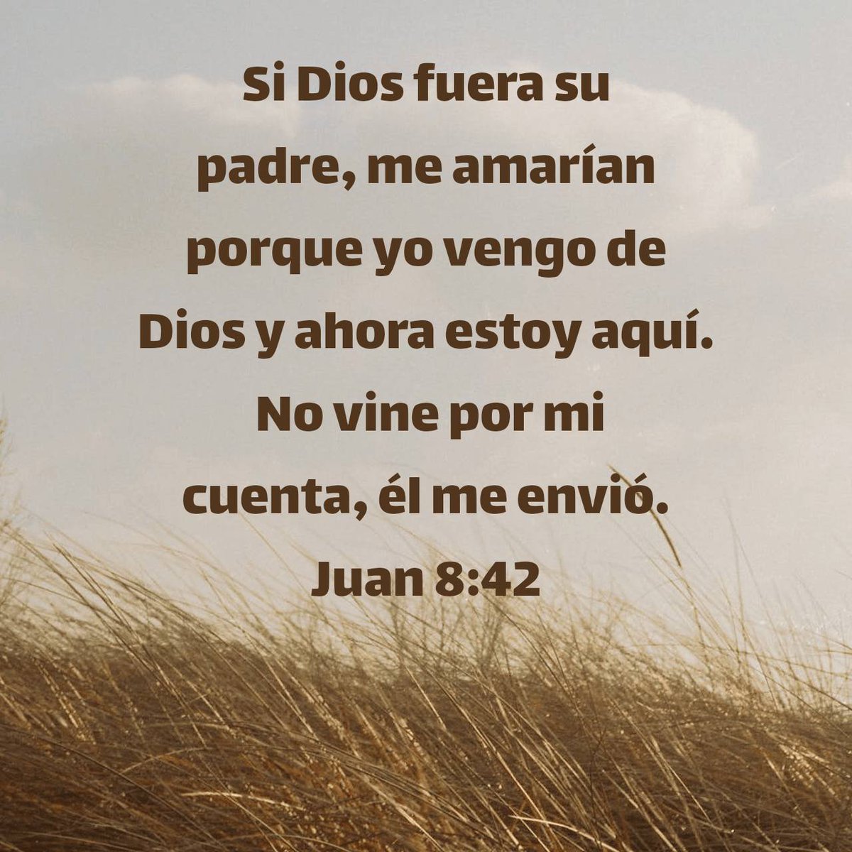 Lperezgodoy's tweet photo. “Si Dios fuera su padre, me amarían porque yo vengo de Dios y ahora estoy aquí. No vine por mi cuenta, él me envió”.
#Dios_es_Padre_amoroso
https://t.co/IYKL5Zftkl https://t.co/utxtETU3Vu