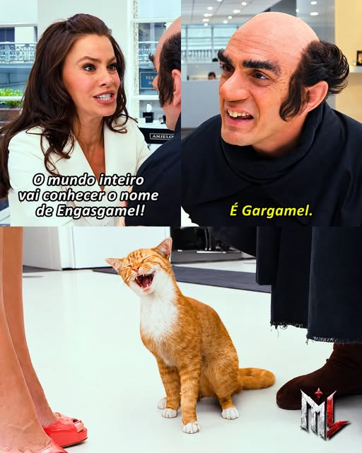 El_gato_perez_'s tweet photo. E o nome do gato, alguém lembra? https://t.co/HGF51gAFvD