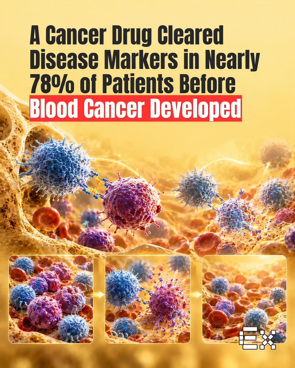 ElementiaX's tweet photo. A drug may stop blood cancer before it fully develops. 🧬

In a Phase 2 trial, teclistamab produced complete responses in 77.8% of people with high-risk smoldering multiple myeloma.

After about 2 years, 92% remained progression-free. https://t.co/i10ZcWt66i