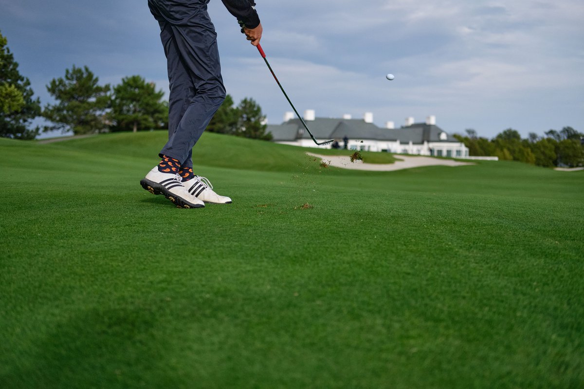 ChrisNedved's tweet photo. We left happy hour behind for a slow nine near the cedar walkway. Beneath breezy daylight, scenic goals worked with group challenges, so the pace suited everyone. #GolfReset #FreshAirGolf https://t.co/OK66g6wJwO