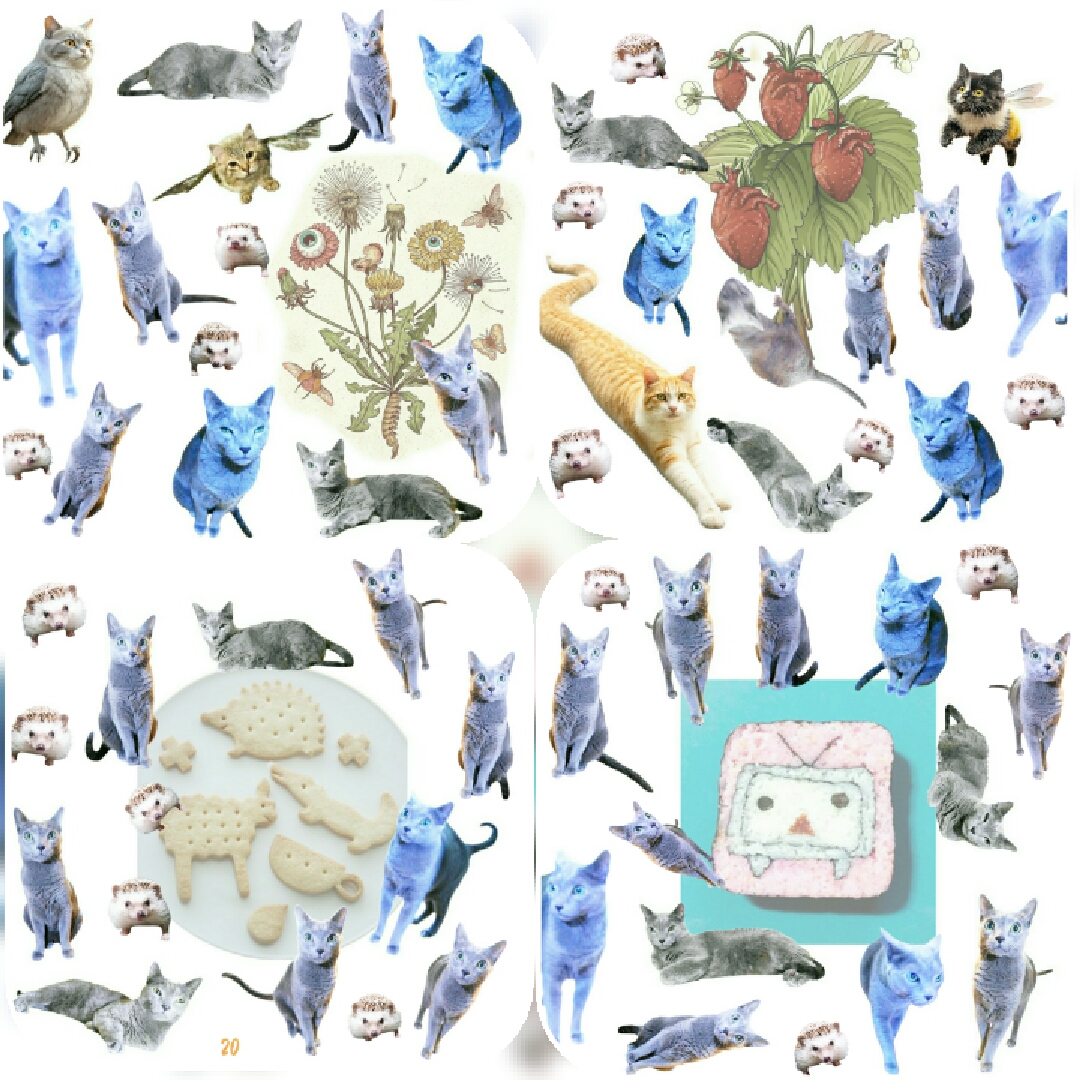 tobe0or0nottobe's tweet photo. #BeKindToAnimalsWeek 🦔🐱 https://t.co/IMadXD7Kho