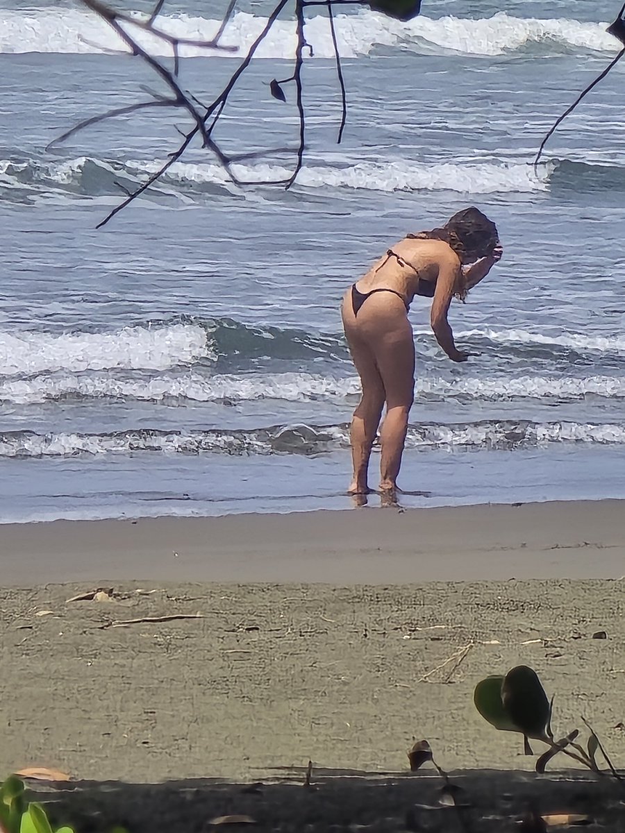 pimoca2021's tweet photo. Playa Linda Dominical https://t.co/Jmasw82axd