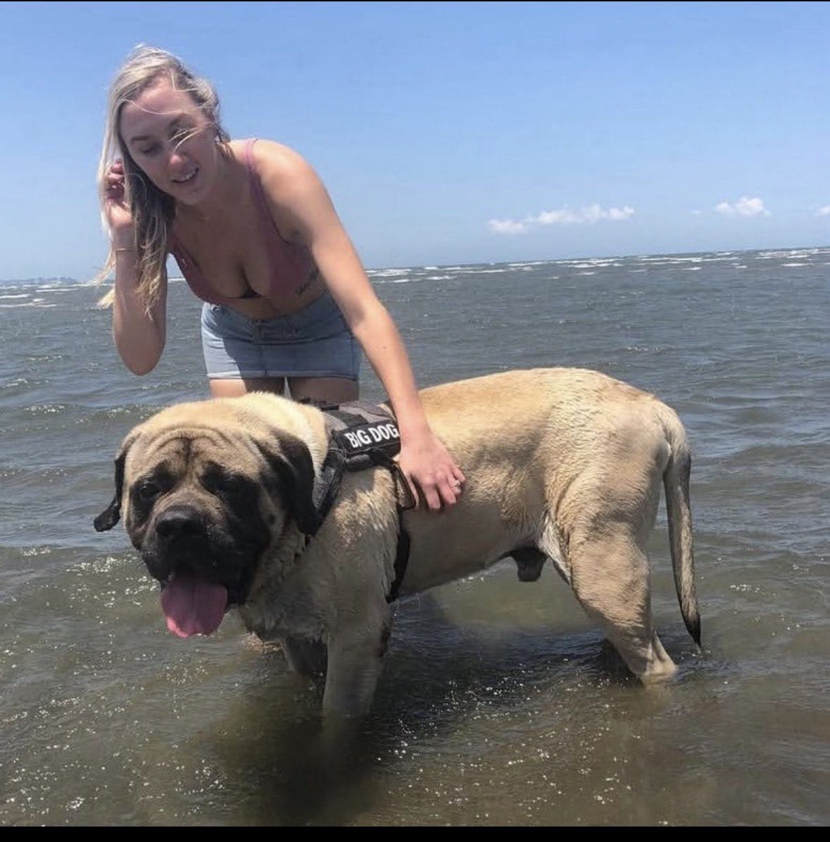 X_ikorita's tweet photo. This is what I can show.
What happens when he knots me stays private.
Link in bio
#dogs #K9 #USA https://t.co/yLVg7Rie66