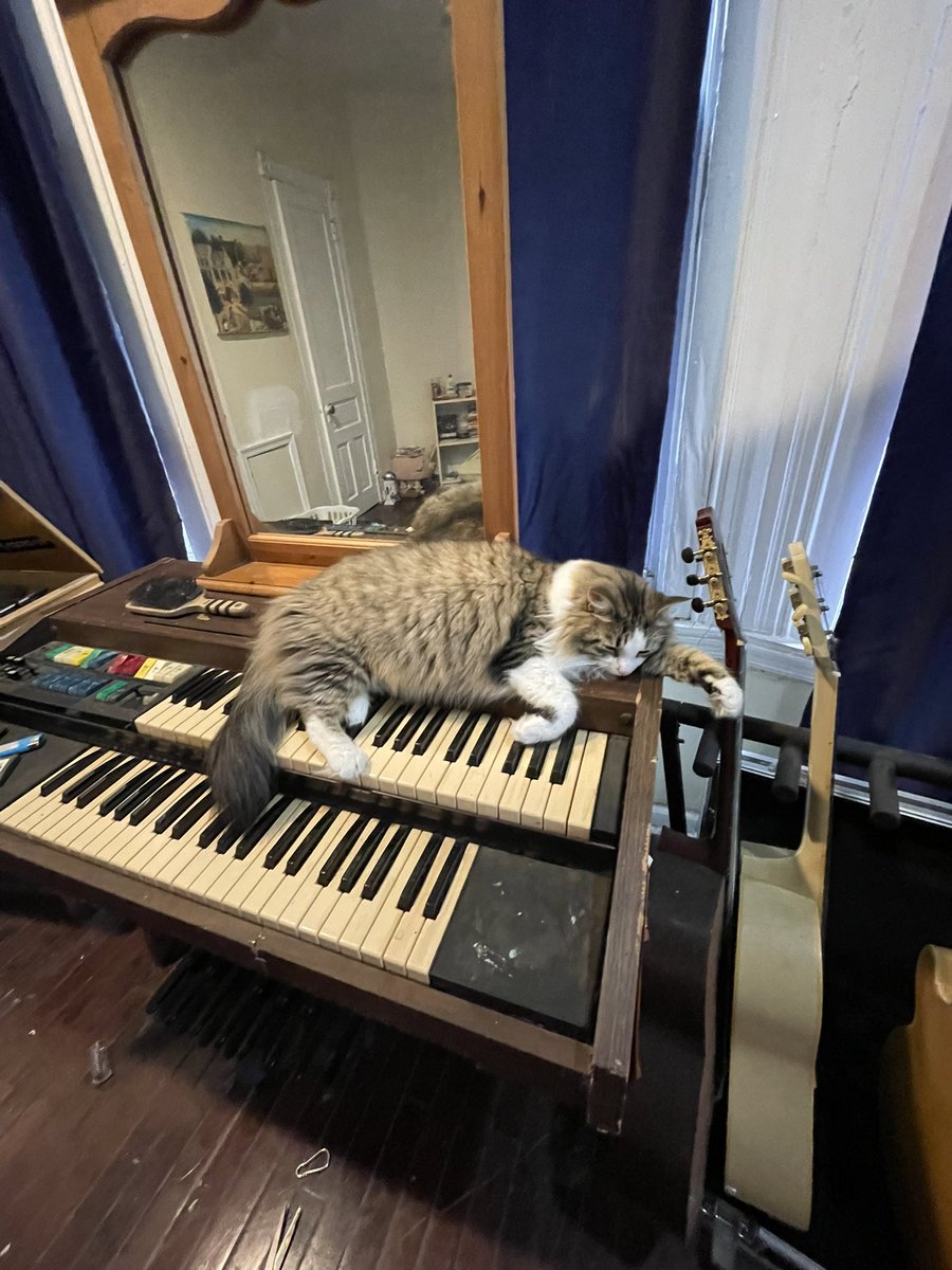 FKAGEORGEY's tweet photo. Sleepy like a baby https://t.co/Du5DOcu57L