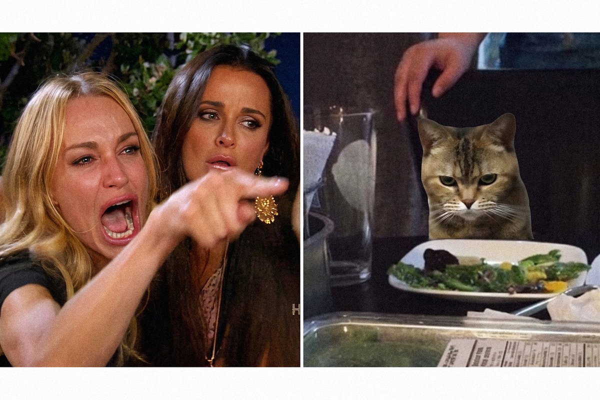 BeanCatArc_'s tweet photo. arc traders after a week of pvp vs the cat who slept through all of it https://t.co/k6Q1vXmFsK