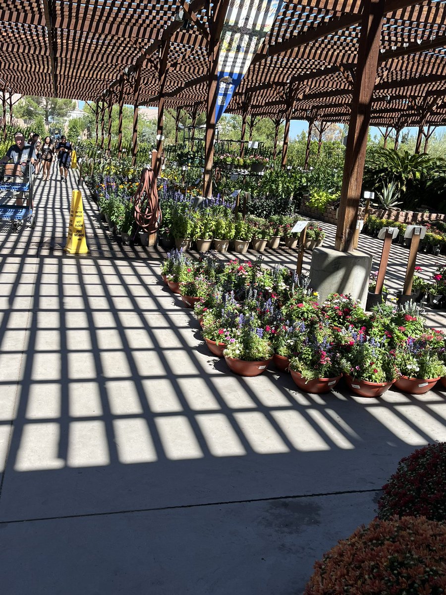 Cheesecake7777's tweet photo. Oh no, guess where my Mommy is 🤨 https://t.co/RrVWPHfvDK
