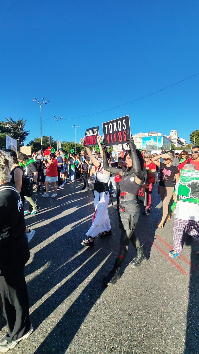 Zomwis_2015's tweet photo. MISION ABOLICIÓN
MISIÓN ABOLICION 
MISIÓN ABOLICIÓN

SÁBADO 19 SEP 17:30 SOL #MADRID
#TauromaquiaAbolicion
#VeganismoEsJusticia
#StopEspecismo https://t.co/5emaqdhN1m