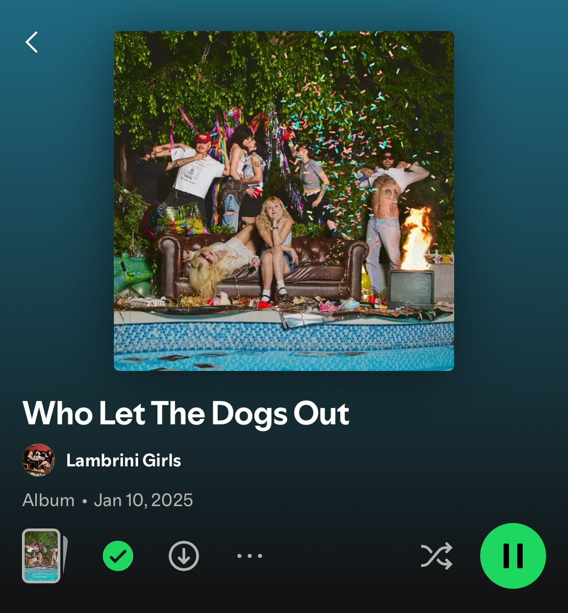 wakanoyaka's tweet photo. Lambrini Girls - Who Let The Dogs Out. 

Honestly one of the best albums I’ve ever listened to… It kinda feels like something from the 2000s and I love it so much. Not one bad song on this entire project.. 10/10. 

Sept 19th 26 - the day I discovered this masterpiece. https://t.co/S93A3x76LA