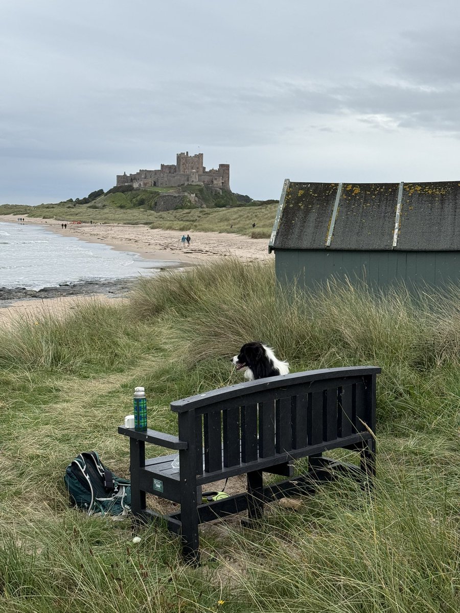 woolismybread's tweet photo. The most beautiful coast and her castles 🏰… wellness walking and sightseeing at its best #northumberland #ladiesholiday https://t.co/vnXnefWkSj