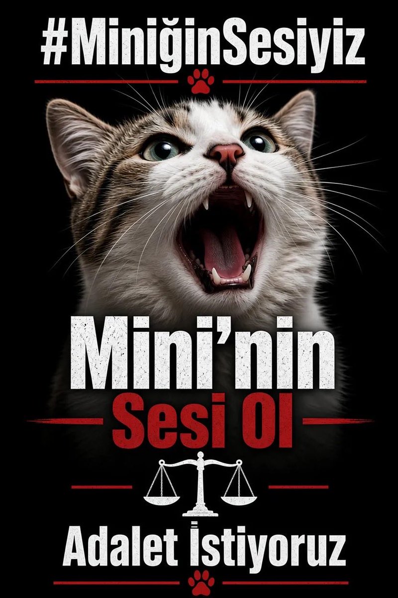 dyarenaa's tweet photo. #minikiçinadalet @pekkan1 https://t.co/F6ZR3mRIWk