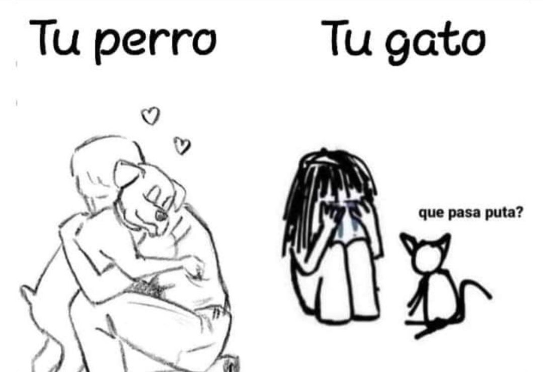 bjs_alejo2's tweet photo. https://t.co/pGO6Moex5F
