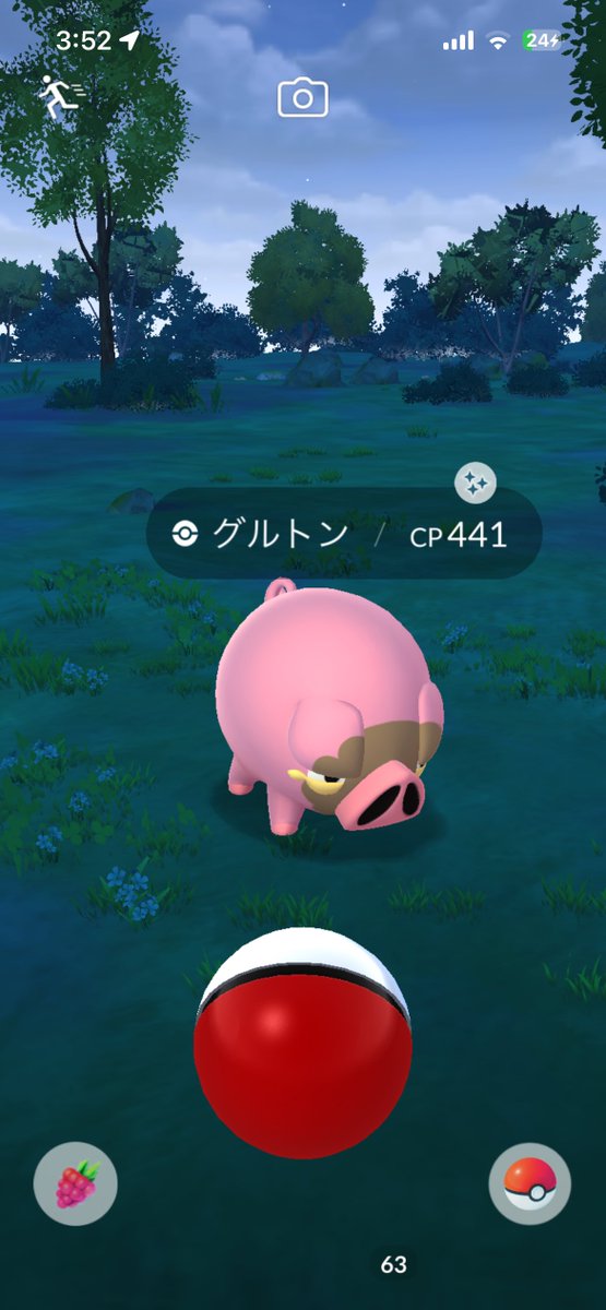 gamonegikamo's tweet photo. グルトンの色違いに遭遇しました👍 https://t.co/9mQ4gaq5CZ