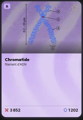 Evanesqua's tweet photo. @alekziiii @maemnt J'ai quelque trucs si tu veux (jsp pour le chromatide mais on sait jamais) FindusTheShrimp https://t.co/1ROHb1gRF8