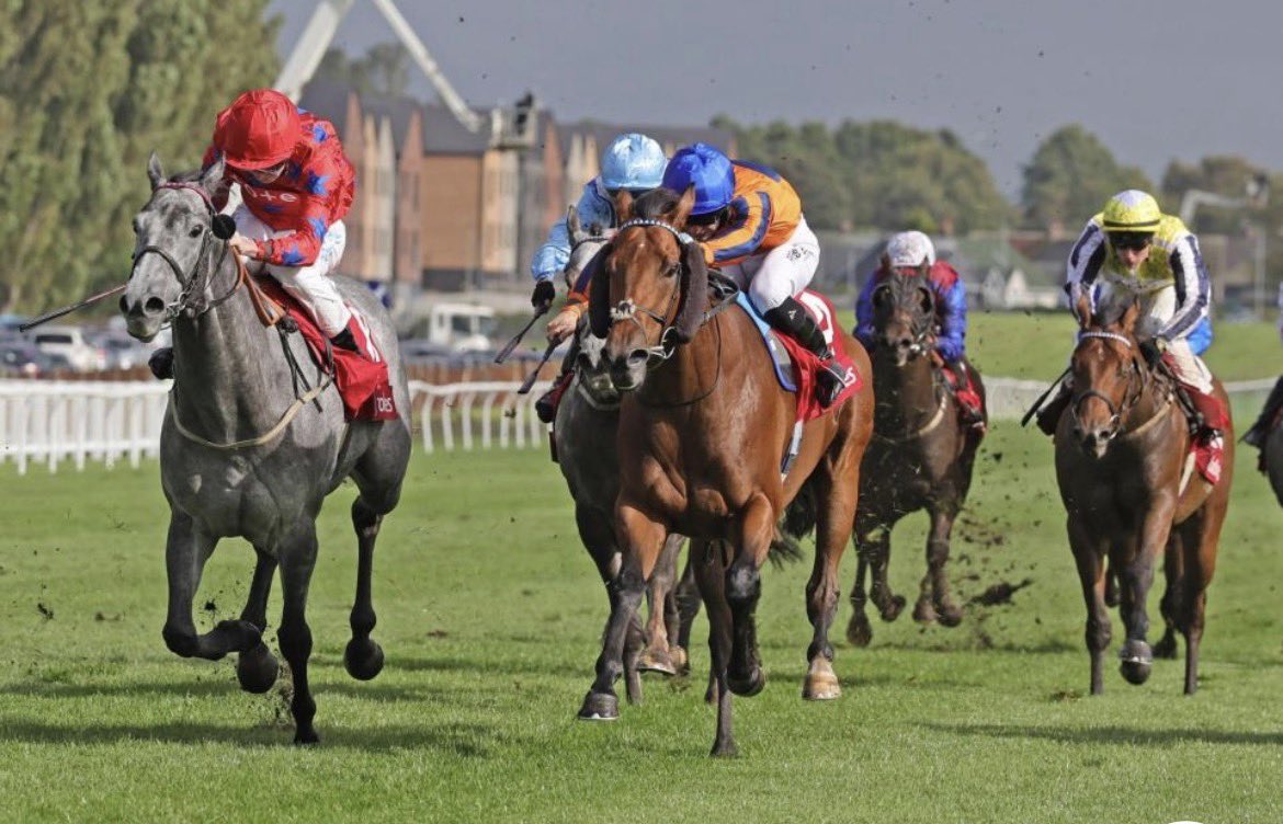 BryanSmartRacin's tweet photo. The most brilliant day…
Station X won the Ayr Silver Cup under Oisin Orr for Mr S Chappell and Partner.
Operation Gimcrack won at Newcastle under Sean D Bowen for Mr P Chettle and B Smart.
#TeamSmart https://t.co/uFV9x8cll8
