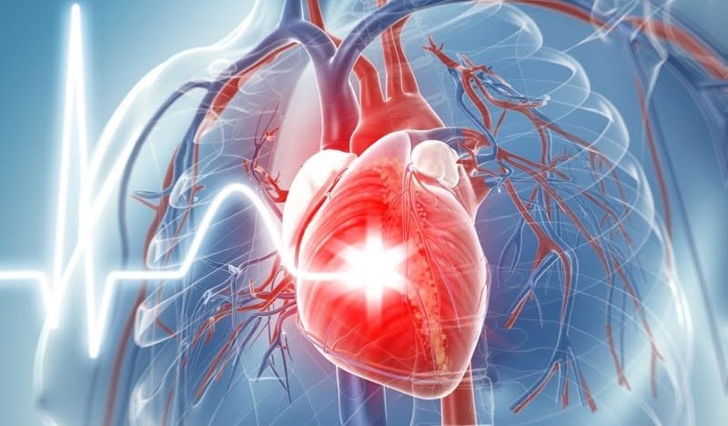 SaludProv's tweet photo. Cada 19 de septiembre se celebra el Día Mundial de Sensibilización Sobre la Disección Aórtica, una enfermedad rara caracterizada por la rotura de la capa interna de la aorta y que amenaza la rotura de su capa exterior.
#LatirAvileño https://t.co/08tpzbYkAo
