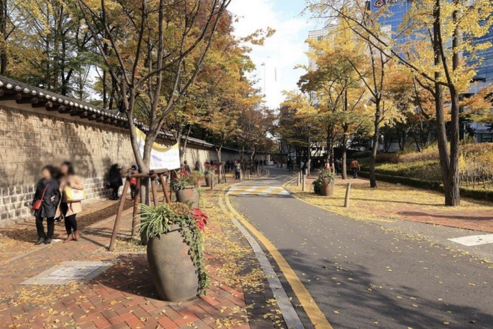 hmmmmmm1458's tweet photo. 정보) 시청역 지하철 바로앞 서울시청 9층에
7월부터 오픈한 무료 하늘전망대가 있음

건물이쁘고 내부 카페 있음
위치와 운영시간 사진은 댓글 참고

사실 여긴 서브로 가는 곳이고
시청역 메인은 덕수궁이랑 가을단풍길ㄱㄱㄱ
웨스틴 조선 칵테일 ㄱㄱㄱ https://t.co/oIY7b6I79Z